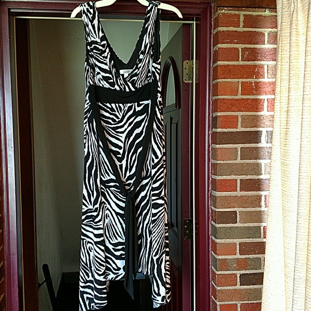 Zebra tank dress